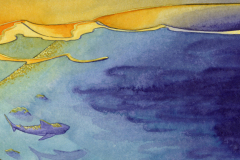 Wie-wird-man-ein-grosser-weisser-Hai22